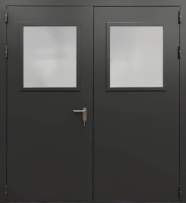 Двупольная дверь EIWS 60 (12) Двупольная дверь EIWS 60 (12)