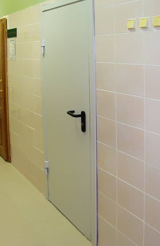 Однопольная огнестойкая дверь