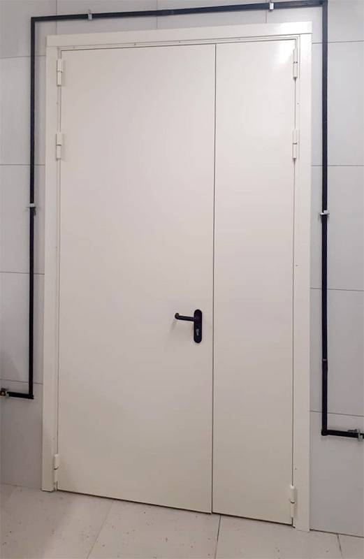 Полуторная глухая дверь (г. Кубинка)