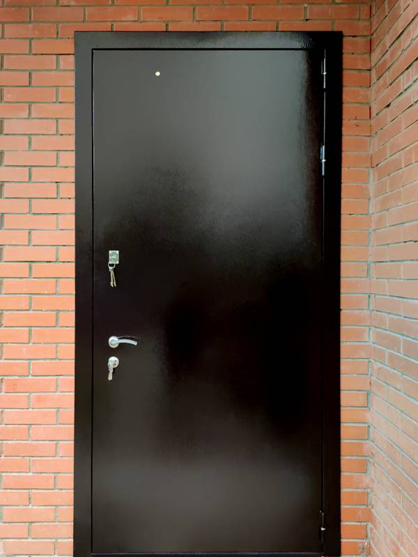Входная дверь, вид снаружи (офисное помещение, Октябрьский)